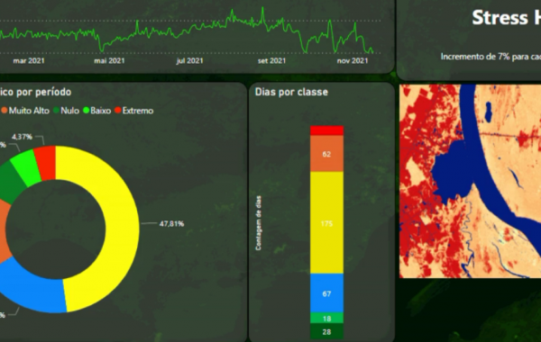 Com alterações climáticas, pesquisadores da Quiron analisam tendência de aumento do risco de incêndio na floresta amazônica