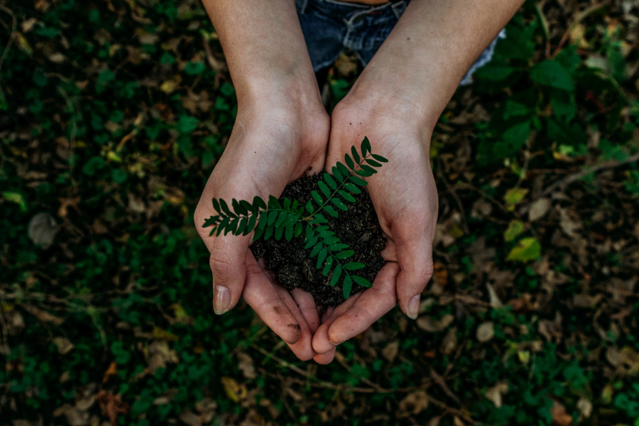Pensar na sustentabilidade ambiental e no futuro da Terra se tornou uma vantagem competitiva no mercado e abre oportunidades em economia verde