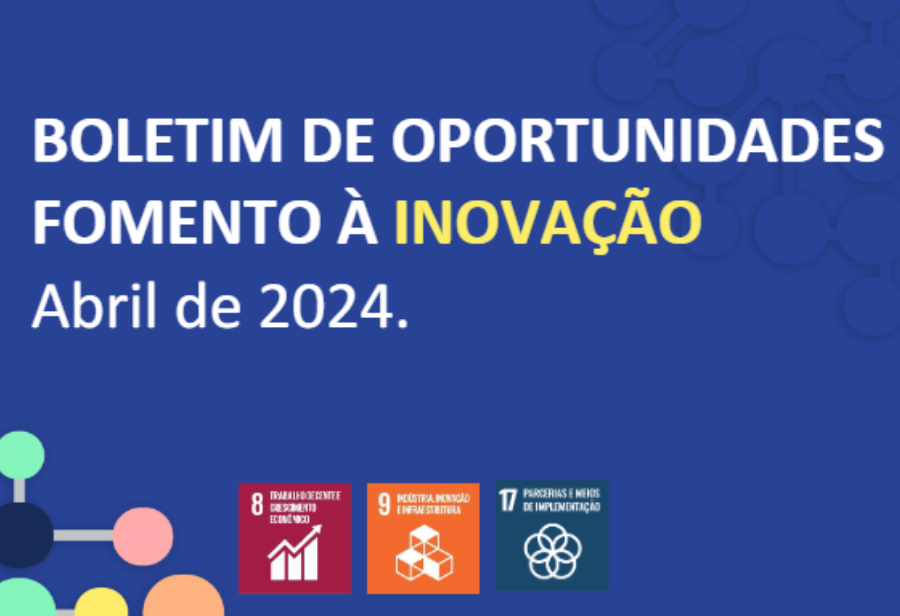 Material do Sebrae detalha oportunidades de fomento à inovação, como editais, programas de apoio e linhas de financiamento.
