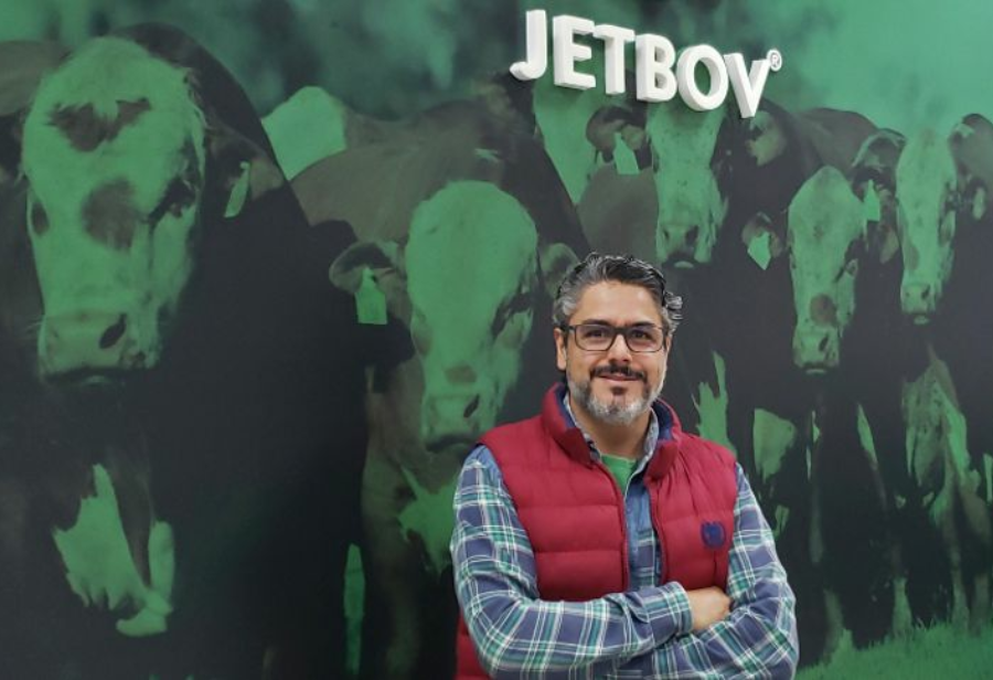 Empresas de tecnologia associadas à ACATE JetBov, Teltec, Razonet, Dígitro e outras startups são destaques em portais de notícias.