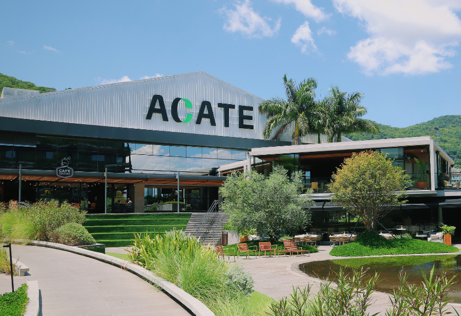 Planejamento estratégico da ACATE coloca associadas no centro de ações e iniciativas que visam fortalecer o ecossistema de inovação
